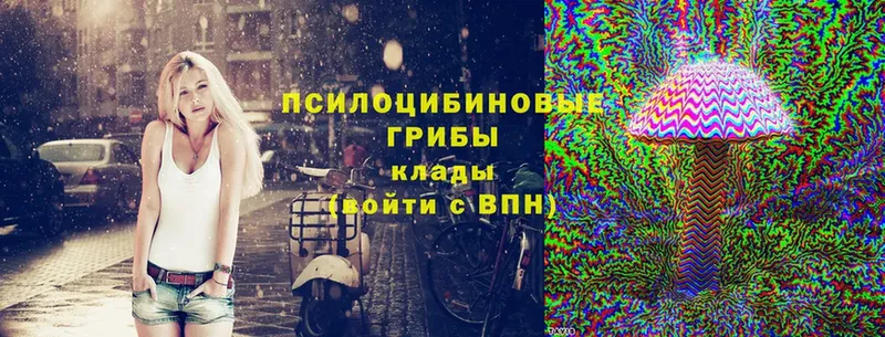 Псилоцибиновые грибы Magic Shrooms  Сосновый Бор 